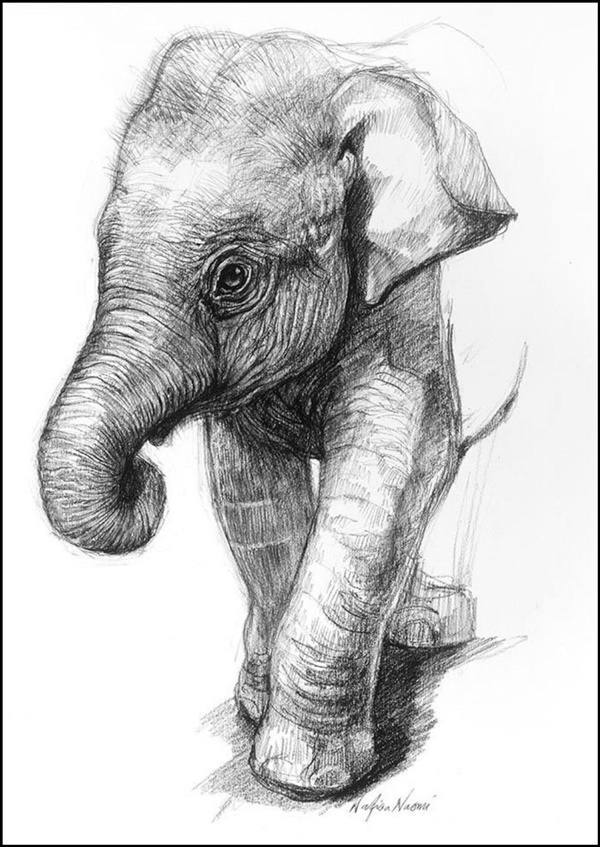 Easy Pencil Drawings Of Animals, How to Draw Animals Drawing for Kids, By  Simple Drawings