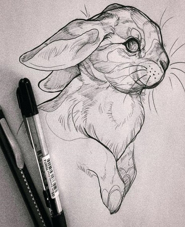 animal sketch ideas
