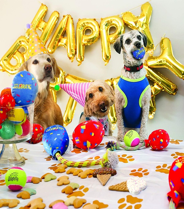 7 Amazing Ideas To Celebrate Your Dog First Birthday